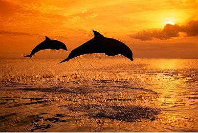 欧美服PS Plus会员2月免费游戏公布：《收获日3》等