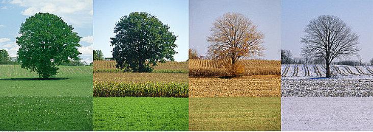 《怪物猎人崛起：曙光》新事件上线 怨虎龙狩猎作战