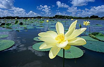 人中之龙快闪店2月15日登陆上海五角场百联 ZX造趣场