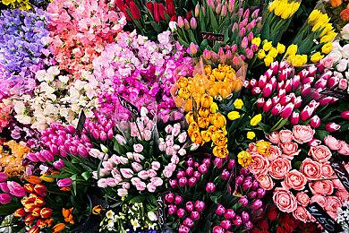 重口恐怖游戏《ILL》新情报 虚幻5打造画面惊人